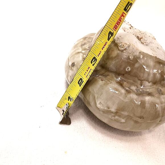 Realistic Ceramic GOURD ugly Pumpkin Art Glaze Kitsch Decor Thanksgiving Kitchen - Picture 13 of 14